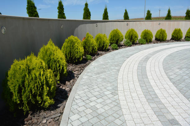 Reasons to Select Us for Your Driveway Paving Requirements in Ellisburg, NJ